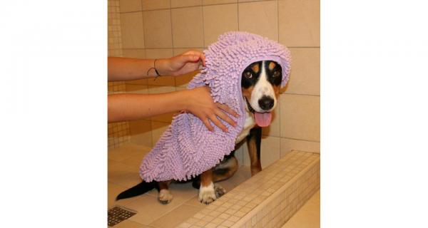 Merco Dry Large uterák pre psa fialová