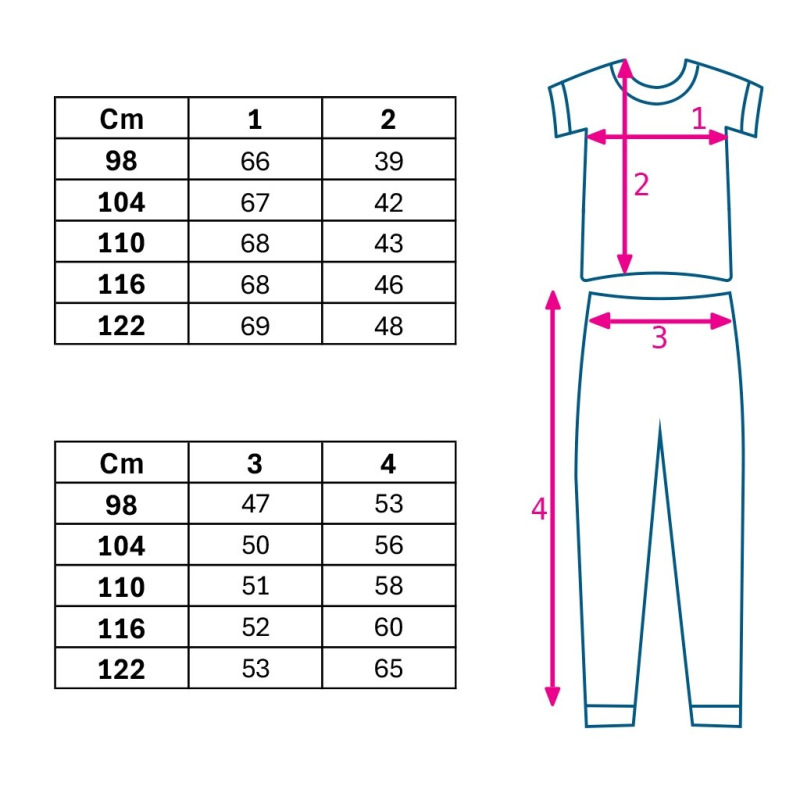 Detská bavlnená súprava tričko a mušelínové nohavice New Baby Kindergarten svetlo sivé 110 (4-5r) 2