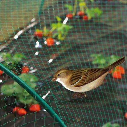 Merco Anti Bird 4.5 sieť proti vtákom zelená 2
