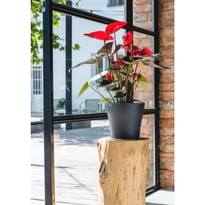 Tulipan Mat kvetináč antracitová 1