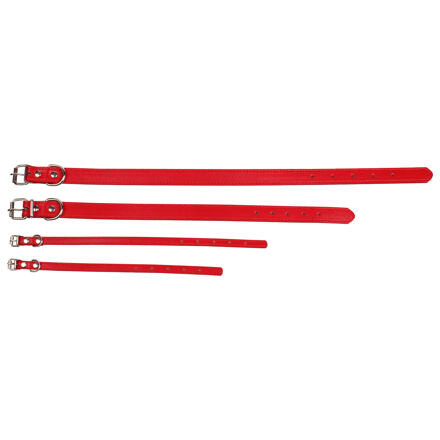 Dog Leash obojok pre psy červená 1