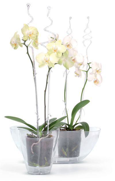 Tyč COUBI ISTC01, 60 cm, zelená, oporná, pre orchideu 1