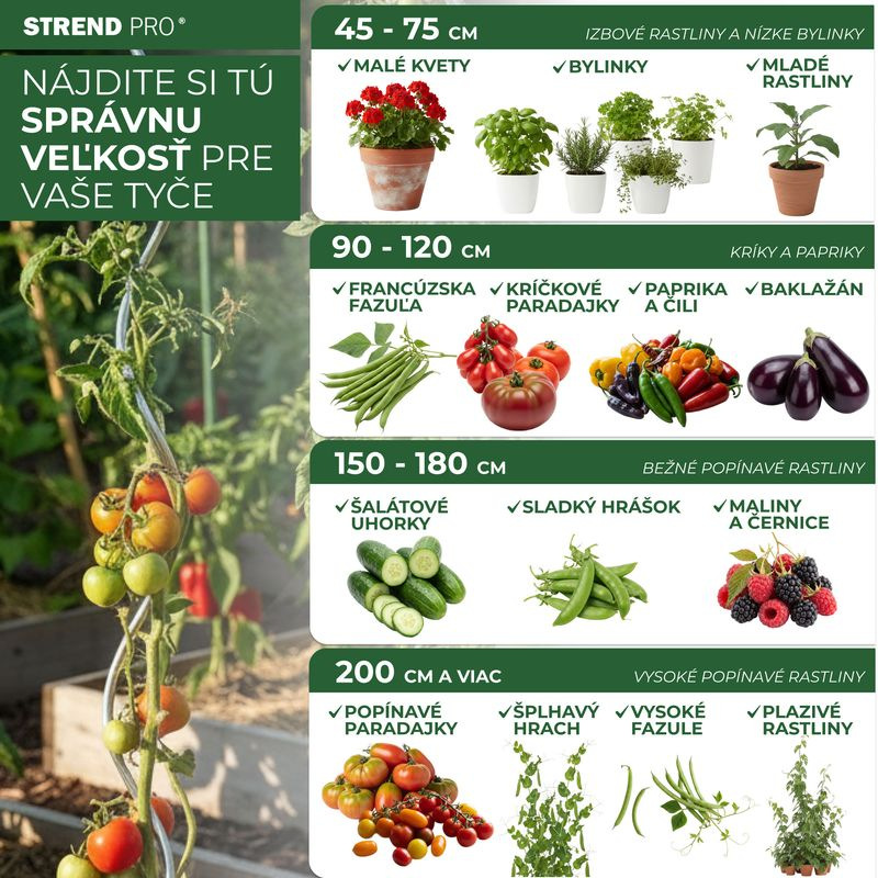 Tyč Garden SB 8/750 mm, oceľ/plast, zelená, oporná k rastlinám a paradajkám 3