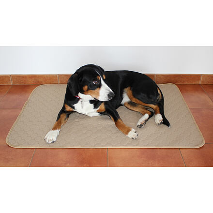 Paddog podložka pre psy béžová 5