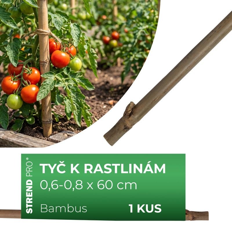 Tyč Garden KBT 600/6-8 mm, bal. 10 ks, bambus, oporná k rastlinám 1